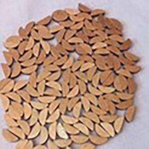 Hlx, BM, Star Motorcycle Magneto